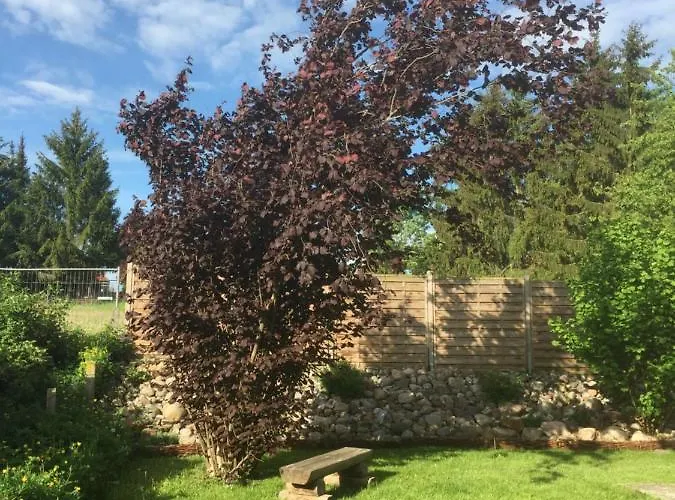 Typ - Finnhuette * Muhl Rosin